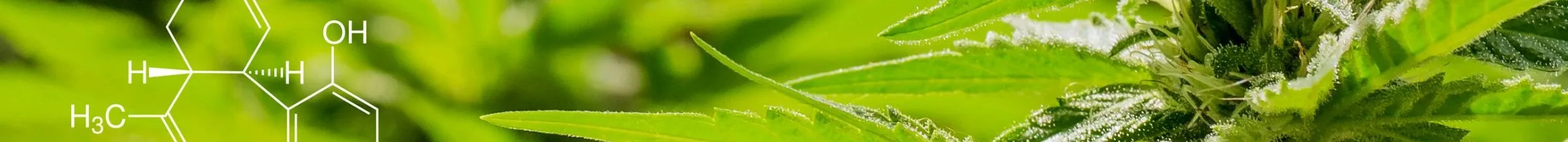 visuel cannabinoides